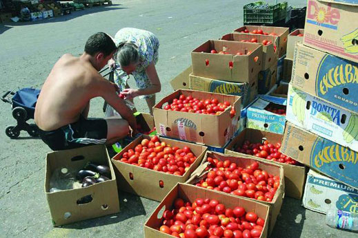 Евтини и некачествени гръцки домати подбиват цените на нашенските 