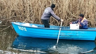 Любители рибари изпратиха на проверка ИАРА на язовир "Жребчево" и "Мандра"