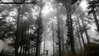 Мъглива и мрачна събота 