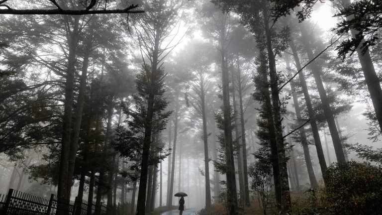 Изображение 744060