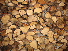 Кметове от Родопите искат да продължат да добиват дърва