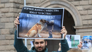 Граждани протестираха заедно с домашните си любимци пред Министерския съвет