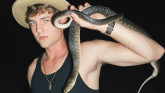 Момчето, което не се страхува да бъде ухапано от змия