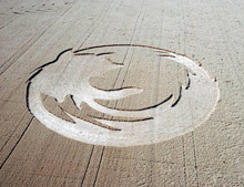 Американски студенти нарисуваха върху трева 70-метрово лого на Firefox