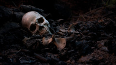 Намериха човешки останки в Кърджалийско
