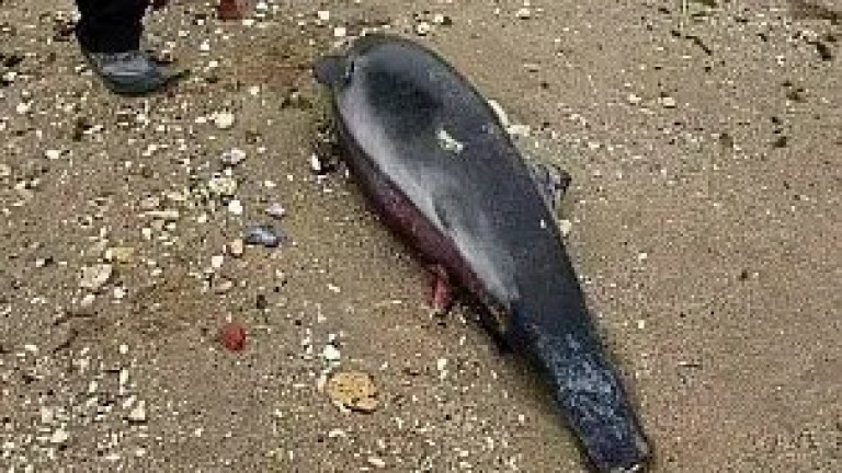 Изображение 756360