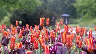 Временни увеличения на облачността ще има над Северна България но