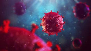 За първи път унищожиха ХИВ в геном на живо същество 