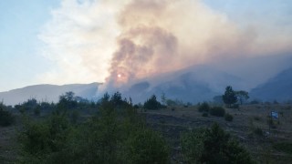 Председателят на адвокатската колегия в Серес Панайотис Карипоглу ще подаде