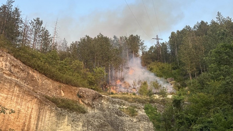 Изображение 727760