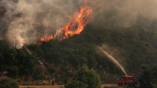 Големи пожари бушуват в Австралия съобщава Гардиън Заради огненото бедствие