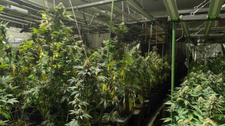 Разкриха модерна наркооранжерия в сградата на бивше училище съобщава БТА В