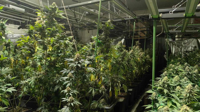 Разкриха модерна наркооранжерия в бивше училище във Варненско