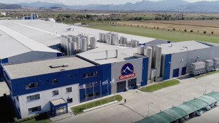 Оборотът на Hellenic Dairies Хеленик Дайрис достигна връх от половин милиард