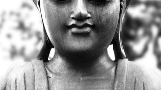 Псевдо-Дзен