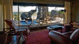 Zarafa, слоновете, Ботсвана и как екзотични животни могат да са ни на една ръка разстояние