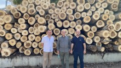 Русенският дървопреработвател, който има бизнес план за изработване на моливи за турския пазар