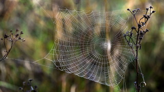 В повечето райони вятърът временно ще стихне само в Източна