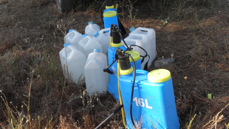 Изображение 250961