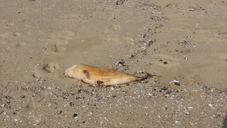 Изображение 490961