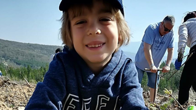 Изображение 402061