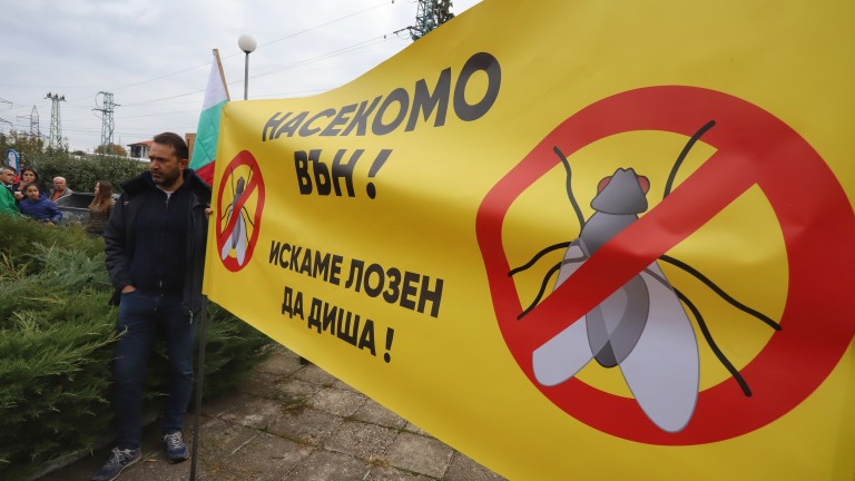 Екоминистърът иска от РИОСВ пак да помисли за фермата за насекоми в Лозен