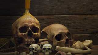 Германия се съгласи да ускори връщането на човешки останки и