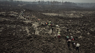 УНИЦЕФ: Вулканът в ДР Конго може да разсели до 400 000 души 