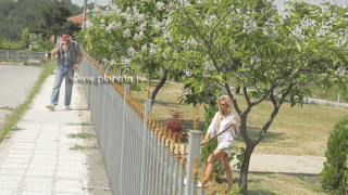 Борис Дали влюбен в дъщерята на селски свещеник