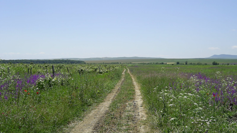 Изображение 63261