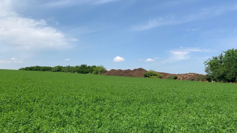 Изображение 533861