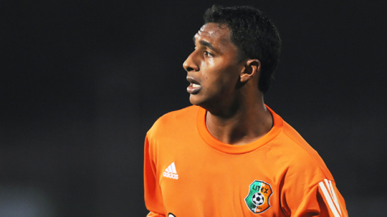 Изображение 384061