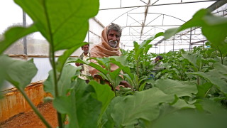 Властта в Индия отстъпи за земеделски закони, предизвикали едногодишни протести
