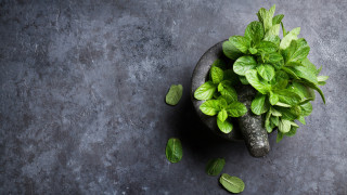 Пролетта е сезон в който имаме голямо разнообразие от пресни