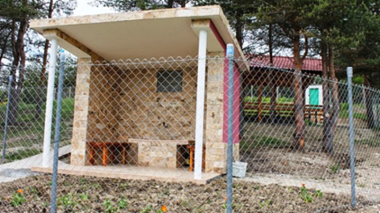 Изображение 165861