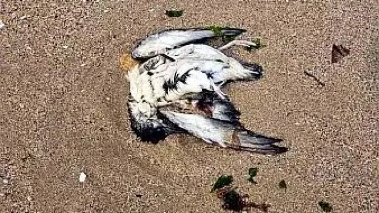 Изображение 756361