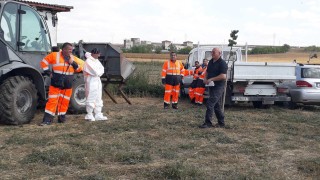 Унищожават 32 тона стари пестициди във Варненско