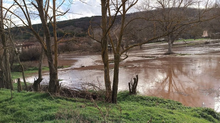 Изображение 747261