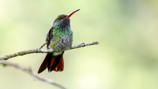 Около 20° ще бъде разликата между минималните и максималните температури