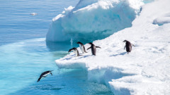 Защо Антарктида разтревожи учените