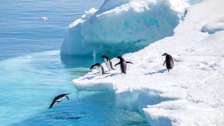 Антарктида може и да е едно от най-изолираните и труднодостъпни