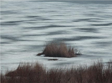 Езерото „Сребърна” замръзна 
