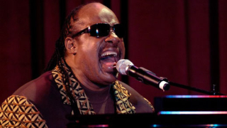 IMDB: Рожден ден - 13 май (Стиви Уондър)