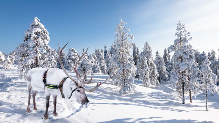 5 нови полета до една от най-интересните дестинации в Европа