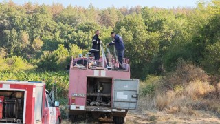 Пожарът в района на Сунгурларе евакуира повече от 40 души 