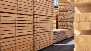35 млн. лв. донесе електронната продажба на дървесина за 6 години