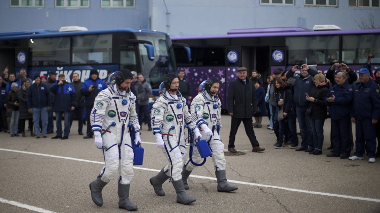 Изображение 258461