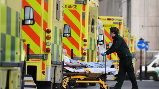 Изследователи от Университета в Единбург са открили нова мутация на