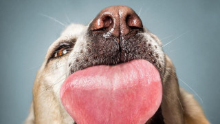 Вече сме представяли веднъж Кристиан Вилер германският професионален фотограф на