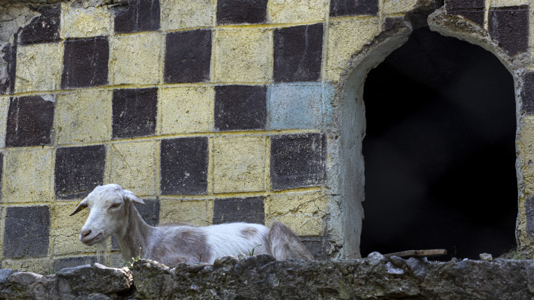 Изображение 499261